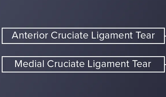 Difference between ACL and MCL