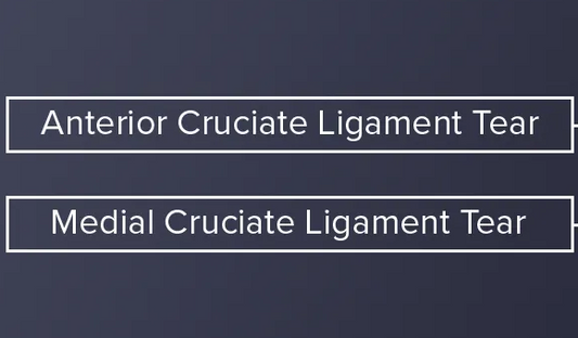 Difference between ACL and MCL